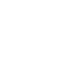 wordpress-logo (2)